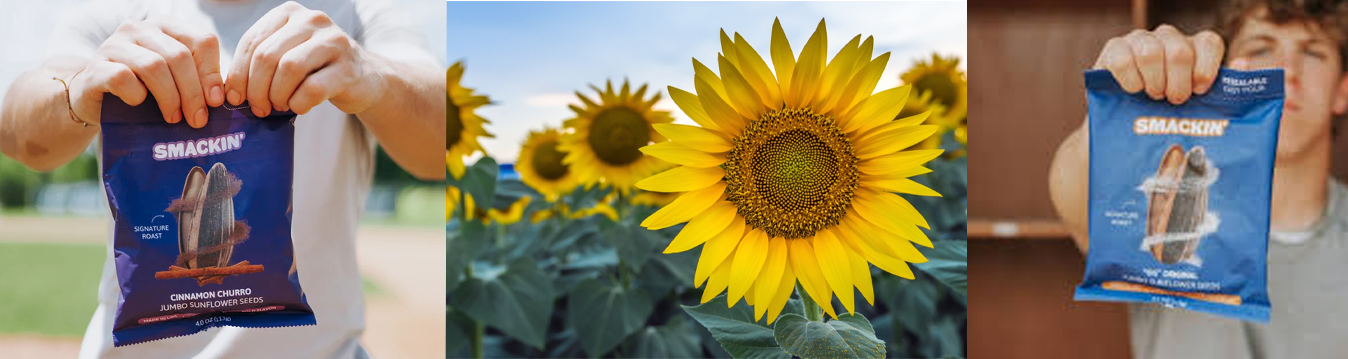 Delicious Sunflower Seeds for Every Snack Lover _ Smackin